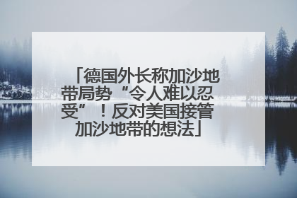 德国外长称加沙地带局势“令人难以忍受”！反对美国接管加沙地带的想法