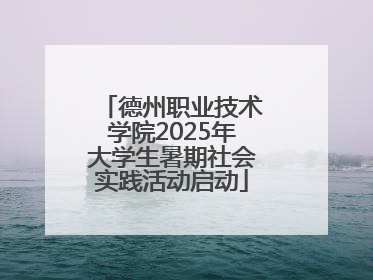 德州职业技术学院2025年大学生暑期社会实践活动启动