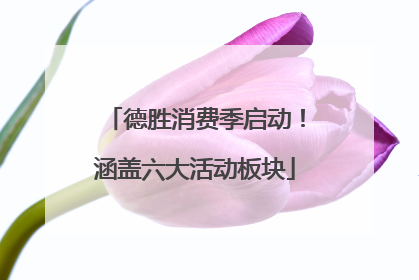 德胜消费季启动！涵盖六大活动板块