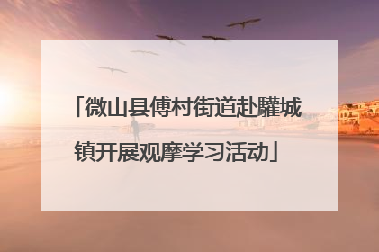 微山县傅村街道赴驩城镇开展观摩学习活动