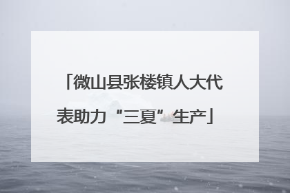 微山县张楼镇人大代表助力“三夏”生产