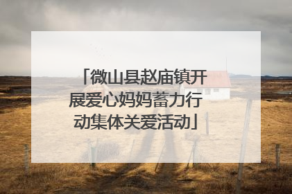 微山县赵庙镇开展爱心妈妈蓄力行动集体关爱活动