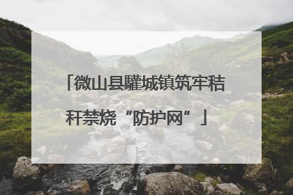 微山县驩城镇筑牢秸秆禁烧“防护网”
