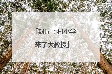 封丘：村小学来了大教授