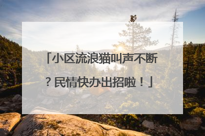 小区流浪猫叫声不断？民情快办出招啦！