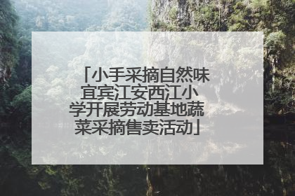 小手采摘自然味 宜宾江安西江小学开展劳动基地蔬菜采摘售卖活动