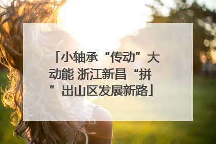 小轴承“传动”大动能 浙江新昌“拼”出山区发展新路