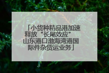 小货种精品港加速释放“长尾效应” 山东港口渤海湾港国际件杂货运业务