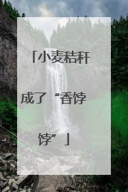 小麦秸秆成了“香饽饽”