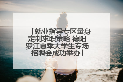 就业指导专区量身定制求职策略 德阳罗江夏季大学生专场招聘会成功举办