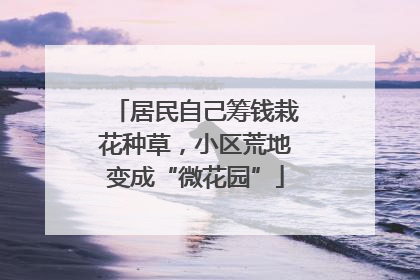 居民自己筹钱栽花种草，小区荒地变成“微花园”