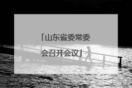 山东省委常委会召开会议