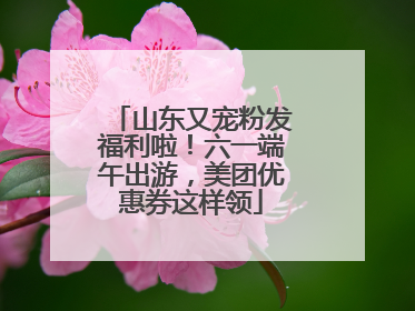 山东又宠粉发福利啦！六一端午出游，美团优惠券这样领
