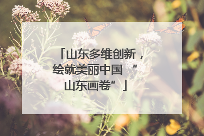 山东多维创新，绘就美丽中国 “山东画卷”