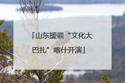 山东援疆“文化大巴扎”喀什开演