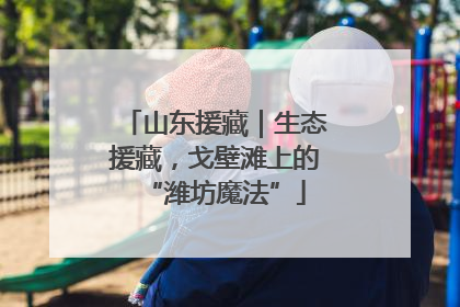 山东援藏｜生态援藏，戈壁滩上的“潍坊魔法”