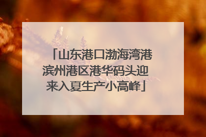 山东港口渤海湾港滨州港区港华码头迎来入夏生产小高峰