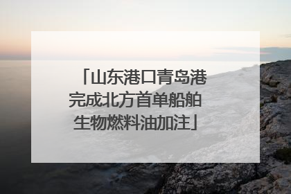 山东港口青岛港完成北方首单船舶生物燃料油加注