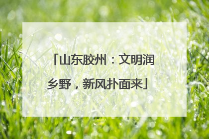 山东胶州：文明润乡野，新风扑面来