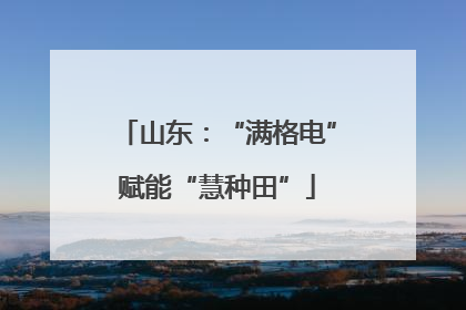山东：“满格电”赋能“慧种田”