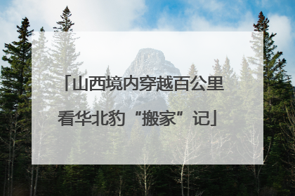 山西境内穿越百公里 看华北豹“搬家”记