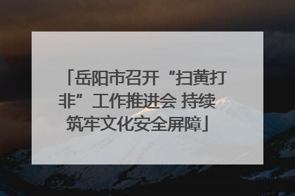 岳阳市召开“扫黄打非”工作推进会 持续筑牢文化安全屏障