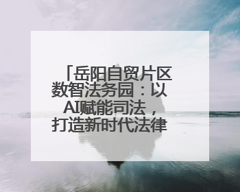 岳阳自贸片区数智法务园：以AI赋能司法，打造新时代法律服务新标杆
