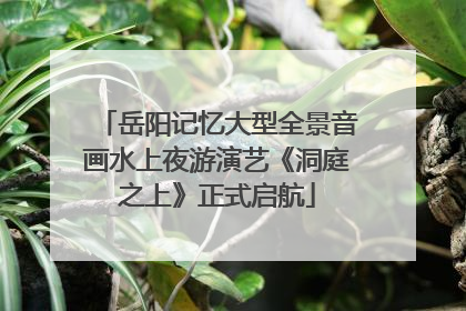 岳阳记忆大型全景音画水上夜游演艺《洞庭之上》正式启航