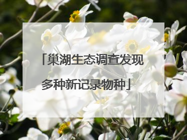 巢湖生态调查发现多种新记录物种