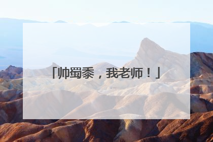 帅蜀黍，我老师！