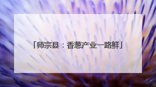 师宗县：香葱产业一路鲜