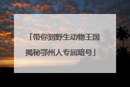 带你到野生动物王国揭秘鄂州人专属暗号