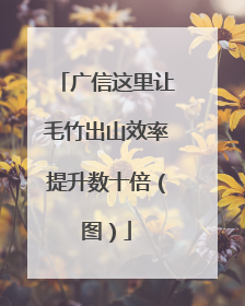 广信这里让毛竹出山效率提升数十倍（图）