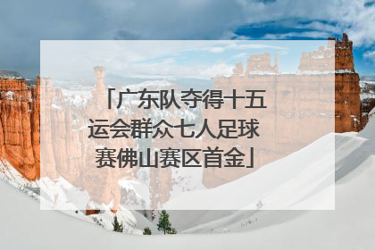 广东队夺得十五运会群众七人足球赛佛山赛区首金