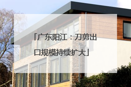 广东阳江：刀剪出口规模持续扩大