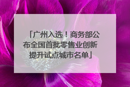 广州入选！商务部公布全国首批零售业创新提升试点城市名单