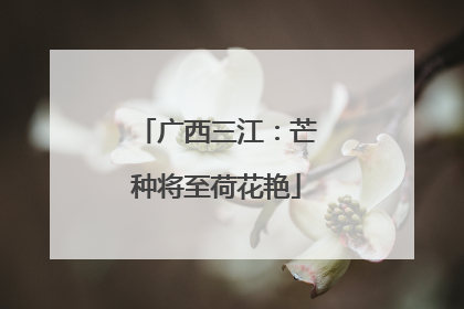 广西三江：芒种将至荷花艳