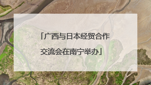 广西与日本经贸合作交流会在南宁举办