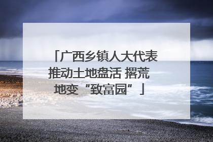 广西乡镇人大代表推动土地盘活 撂荒地变“致富园”