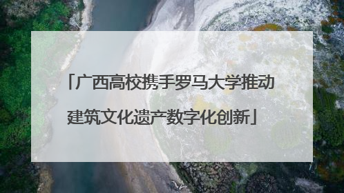 广西高校携手罗马大学推动建筑文化遗产数字化创新