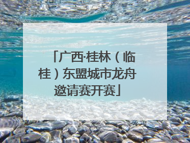 广西·桂林（临桂）东盟城市龙舟邀请赛开赛
