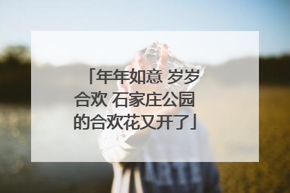 年年如意 岁岁合欢 石家庄公园的合欢花又开了
