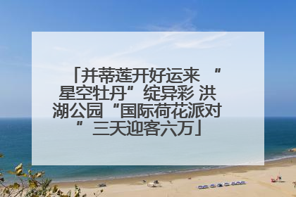 并蒂莲开好运来 “星空牡丹”绽异彩 洪湖公园“国际荷花派对”三天迎客六万