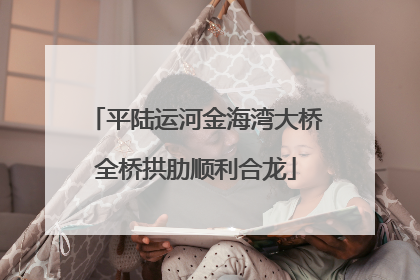 平陆运河金海湾大桥全桥拱肋顺利合龙
