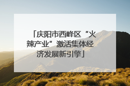 庆阳市西峰区“火辣产业”激活集体经济发展新引擎