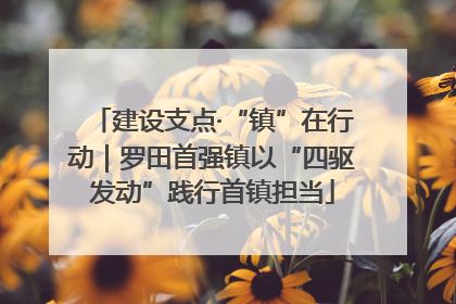 建设支点·“镇”在行动｜罗田首强镇以“四驱发动”践行首镇担当