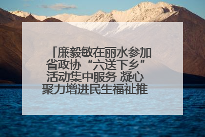 廉毅敏在丽水参加省政协“六送下乡”活动集中服务 凝心聚力增进民生福祉推进共同富裕