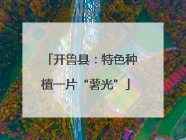 开鲁县：特色种植一片“薯光”