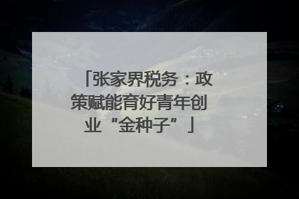 张家界税务：政策赋能育好青年创业“金种子”