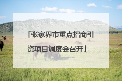 张家界市重点招商引资项目调度会召开